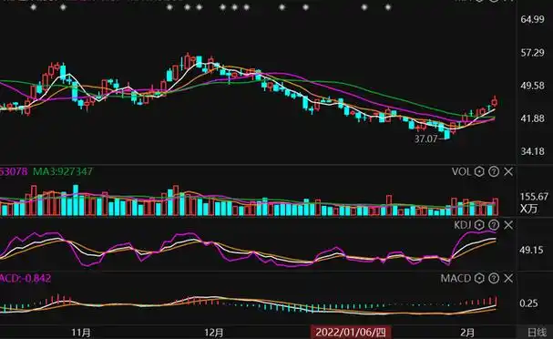  股票配资公司揭秘“配资炒股开户网站”：投资新手的必备指南